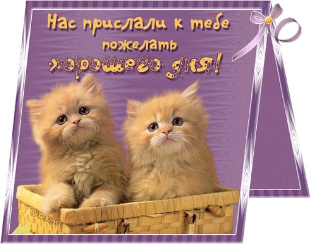 079c17cc83d438c66b1c78d60334299c.jpg