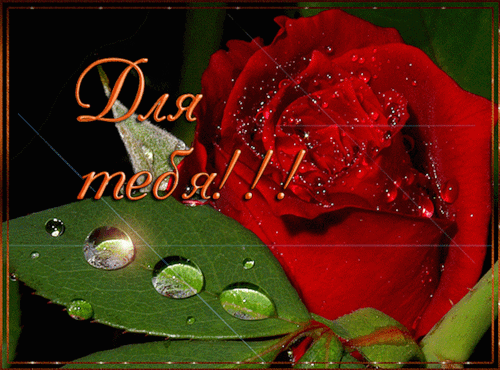 605fb9584f865c08787a24338aa6ec86.gif