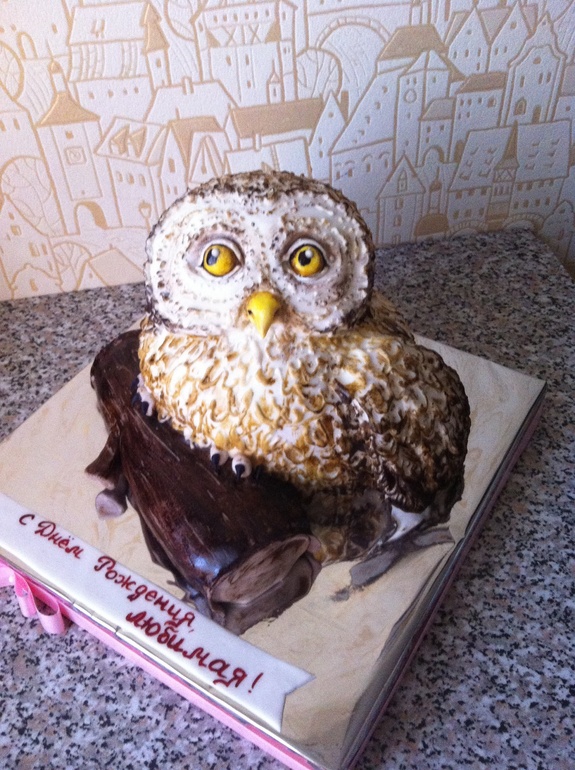 Торт Сова 3Д