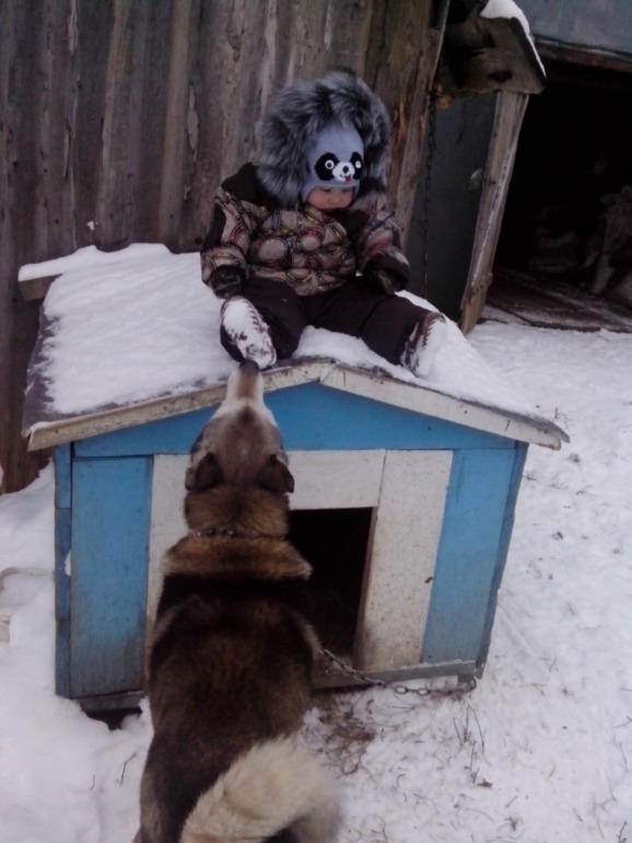 итоги годика