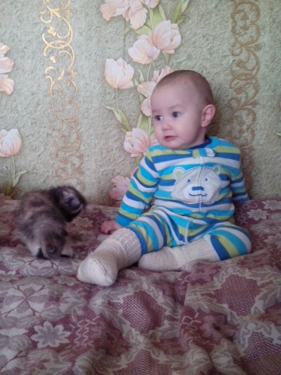 мой зайка