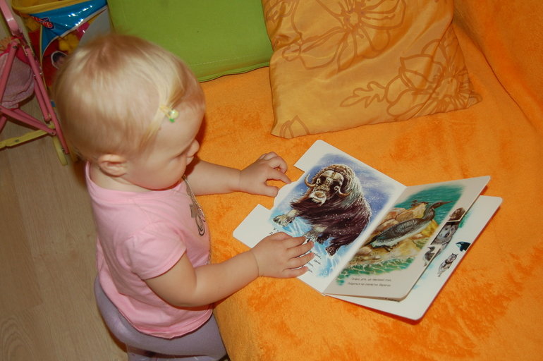 Флешмоб ТН Арктика и Антарктика. День 4