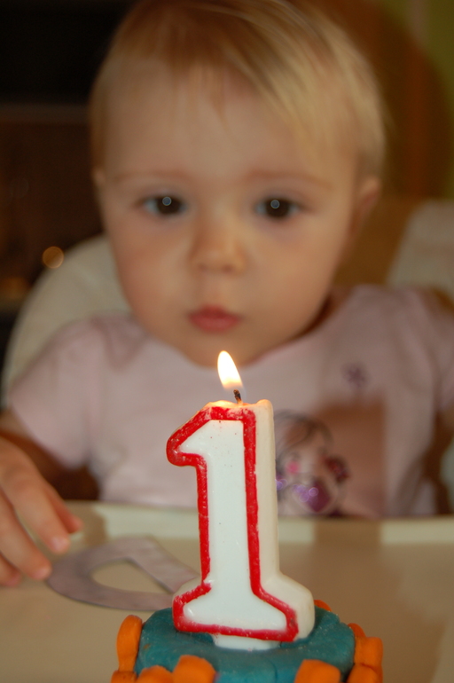 Крошка Енот