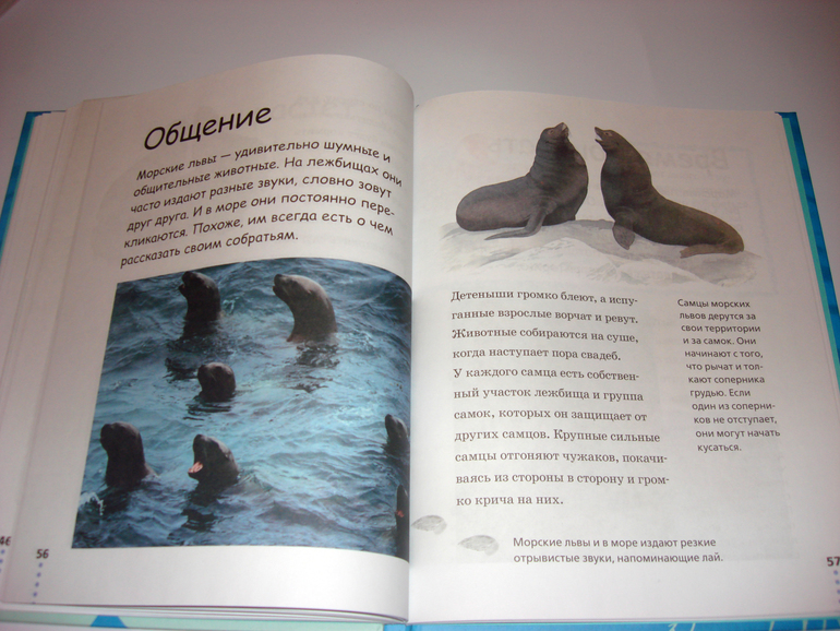 Первый снег...