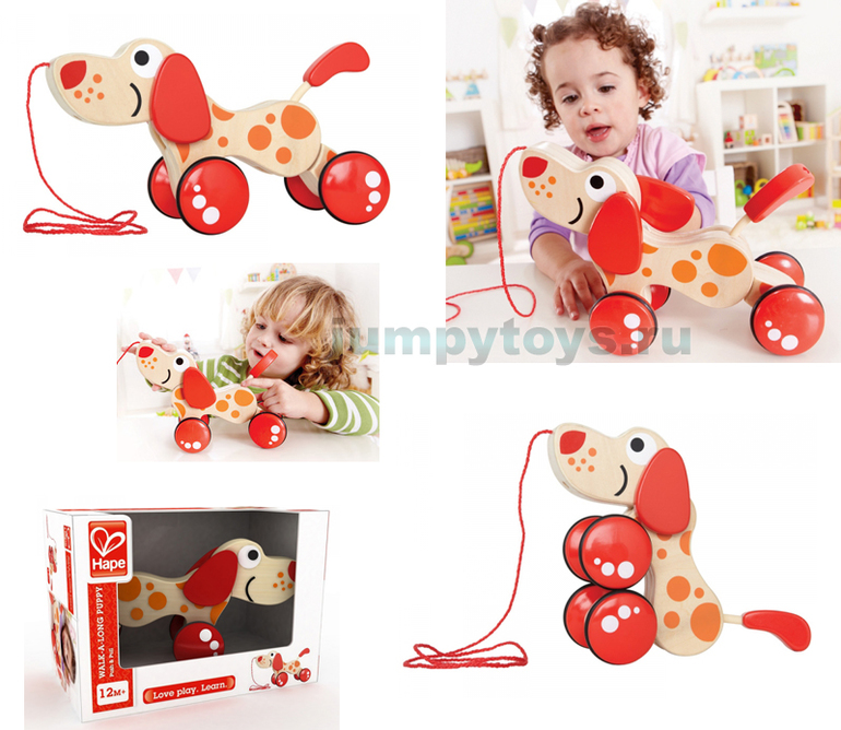 Новинки от Hape & Co