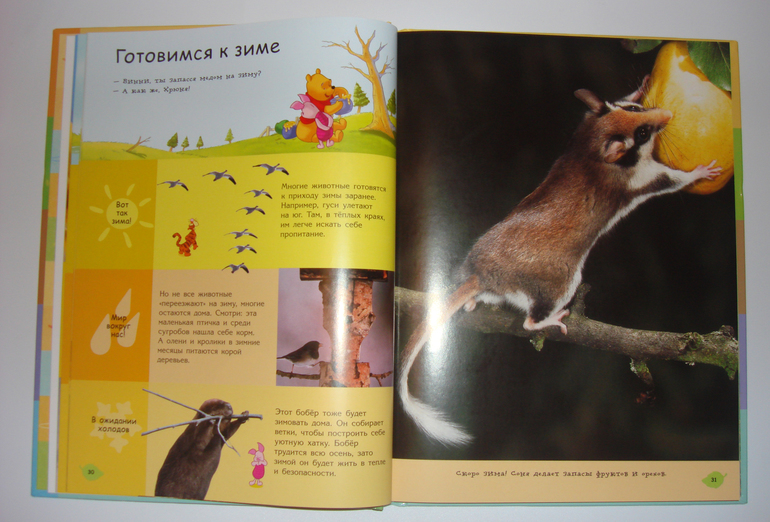 Первый снег...