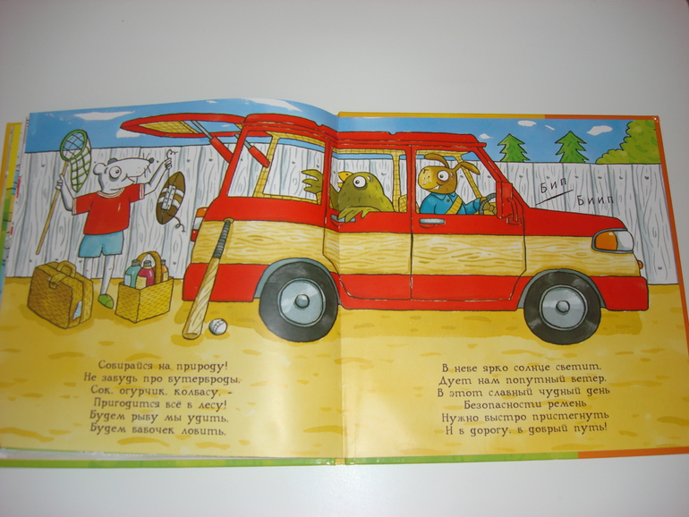 Робинс окошки