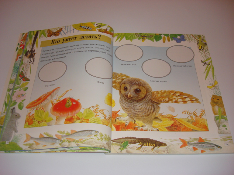 Подарочный фонд. Наклейки на 3 годика