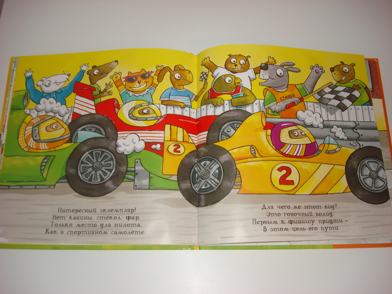 Робинс окошки