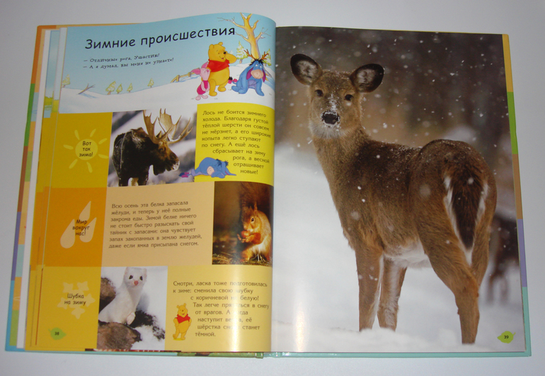 Первый снег...