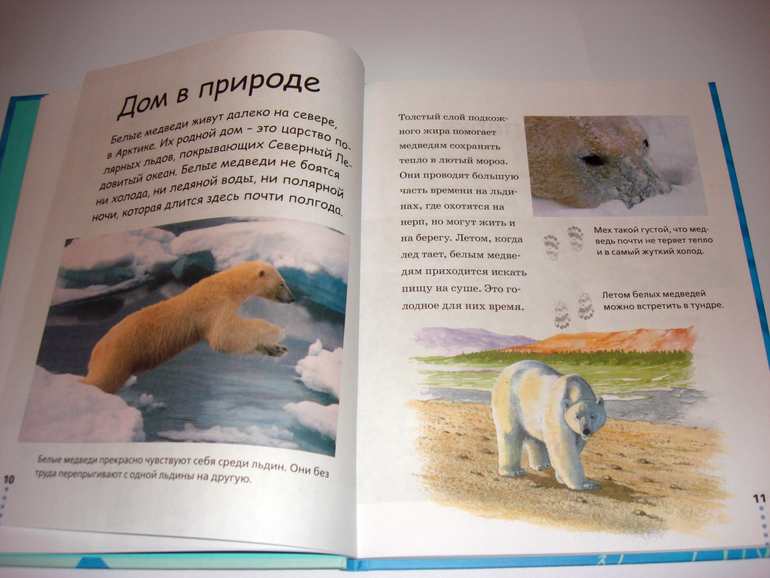 Первый снег...