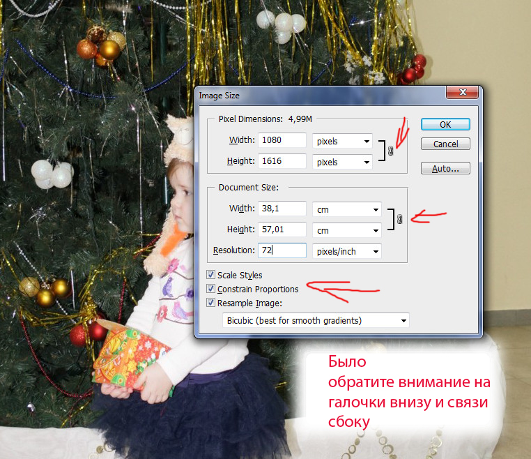 55589d2fae3f07c131def13aeeac2be6.jpg