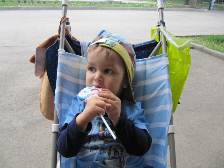 Трогательный зоопарк