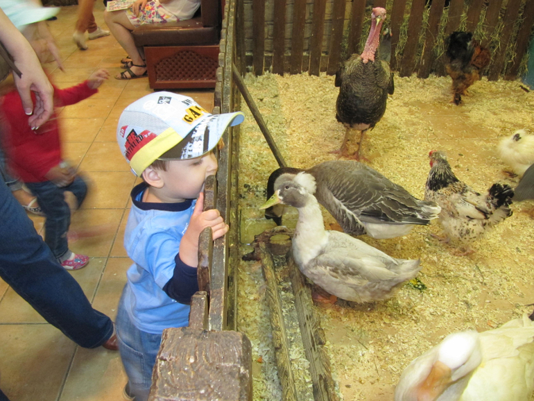 Трогательный зоопарк