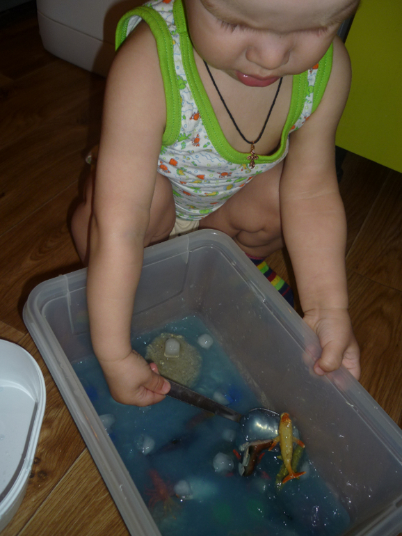 Море из желе