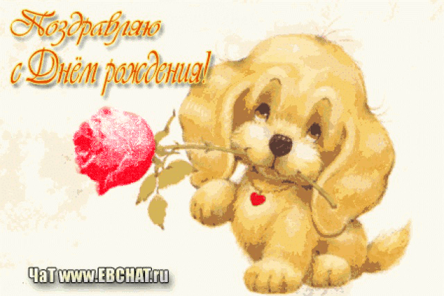 d98c34002948bfd818d611186f979d5d.gif