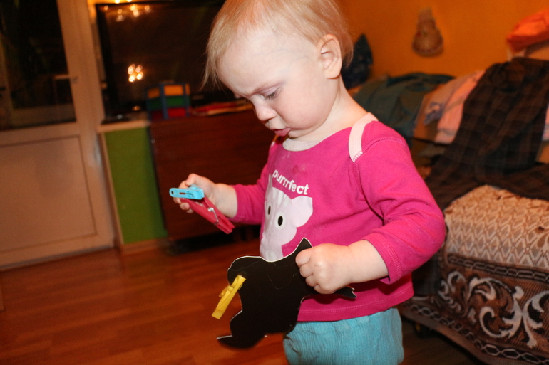 Отчет Курица, петух, цыпленок