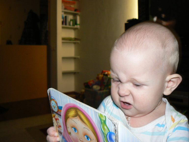 Ёжкины санки