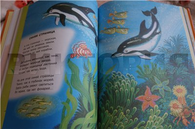 Дневник читателя, май. (2,5г)