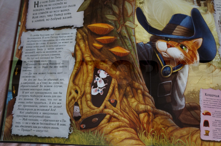 книги с панорамками и двигающимися элементами.