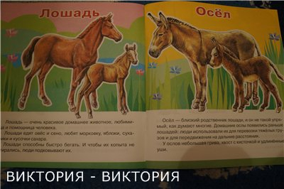 Мини-энциклопедии 2