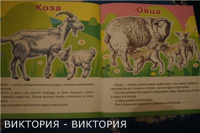 Мини-энциклопедии 2