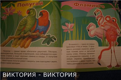 Мини-энциклопедии 2