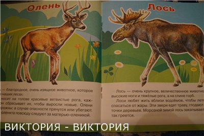 Мини-энциклопедии 2