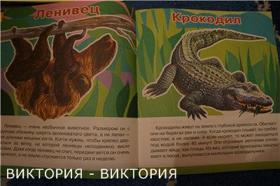 Мини-энциклопедии 2