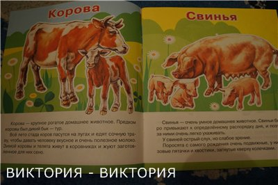 Мини-энциклопедии 2