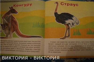 Мини-энциклопедии 2