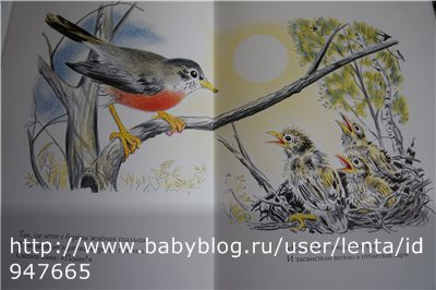 Луговая считалочка - Over In The Meadow - John Langstaff