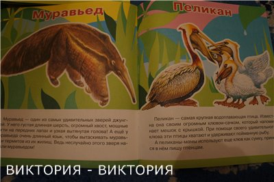 Мини-энциклопедии 2