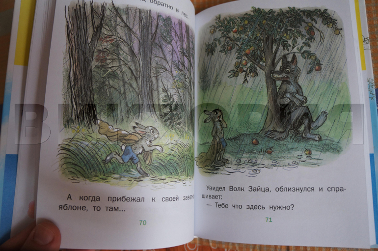 наш В. Сутеев