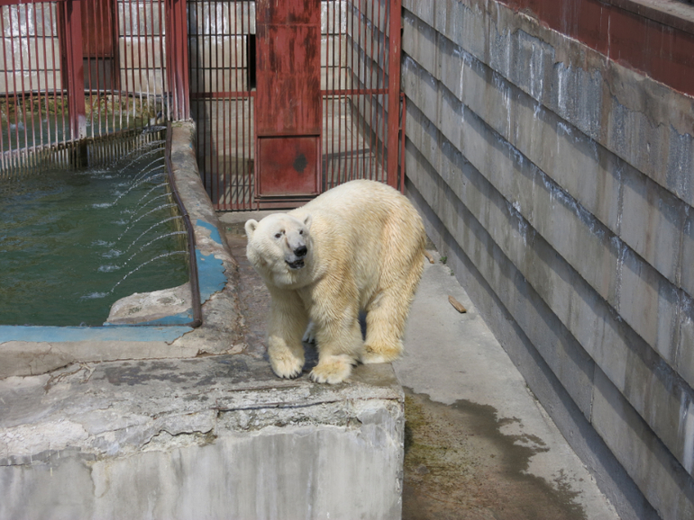 Поездка в Екатеринбург с Кимом 1,4 года.