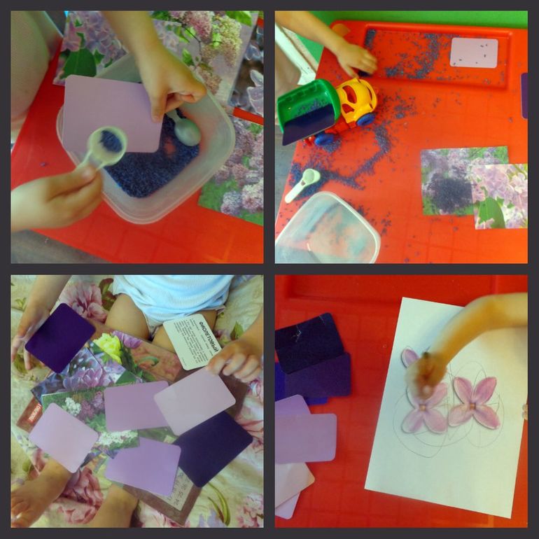 Сиреневый ТД