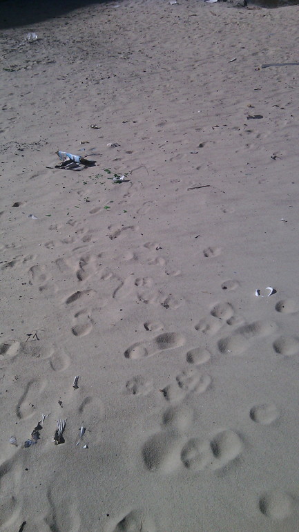 наша площадка, нет слов...