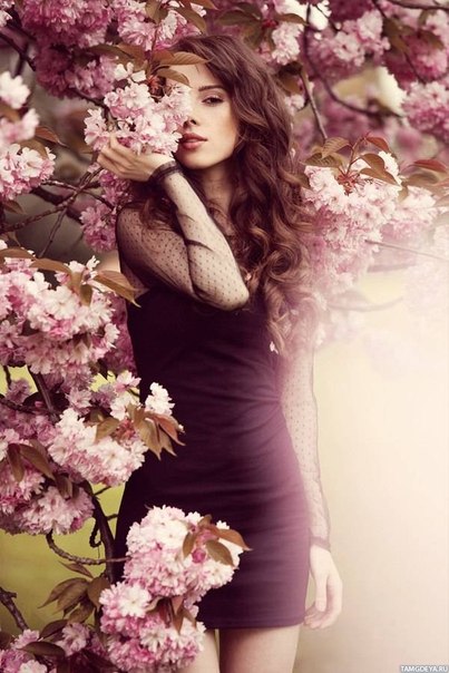 Сиреневое безумие - ТФП