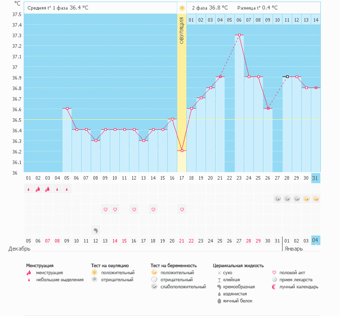 Самый лучший подарок на Новый год!