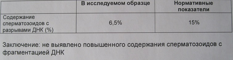 Исследование фрагментации ДНК в сперматозоидах