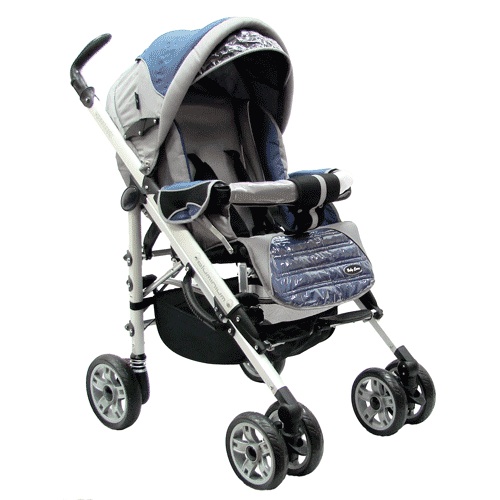 Нелегкий выбор трости