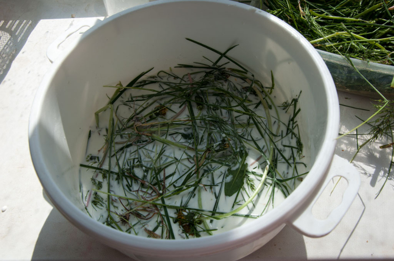 Эксперименты: уксус, неньютоновская жидкость, почему не падает мост?