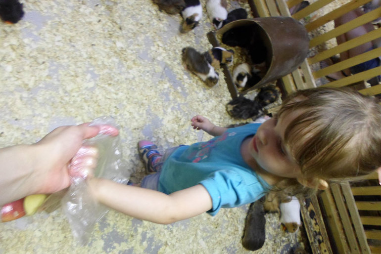 Монтессори-июнь или чем можно быстро занять ребенка.