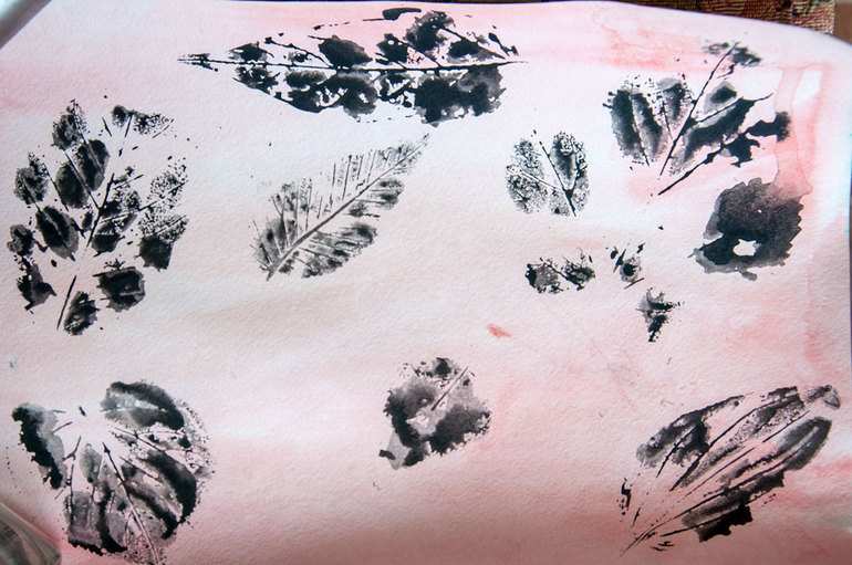 Монтессори-июнь 2