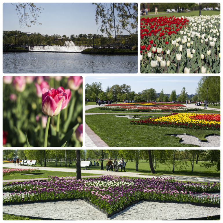 прогулка по Царицыно, 9 мая