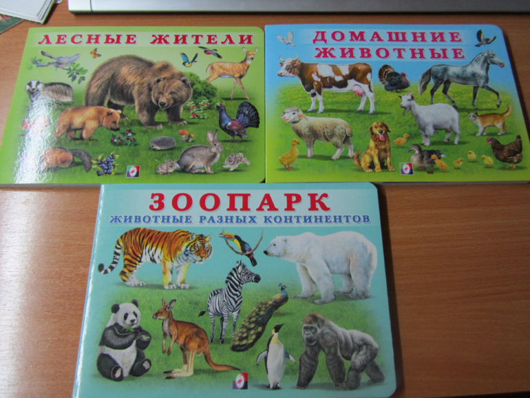 Бюджетные картонки для малышей