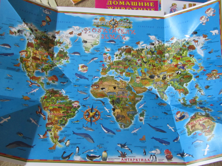 Пополнение бибилиотеки. Июнь