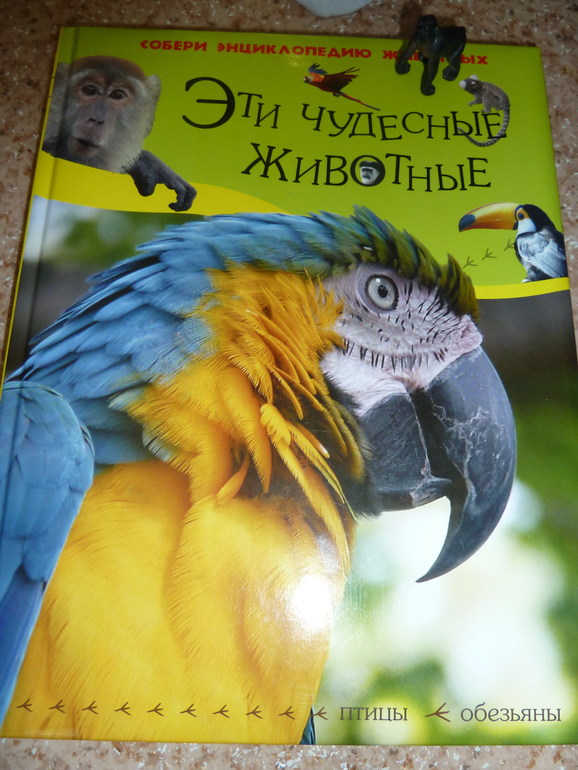 Как я учил географию и не только.