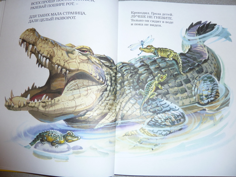 Ах, эти скидки, скидки, скидки...)))