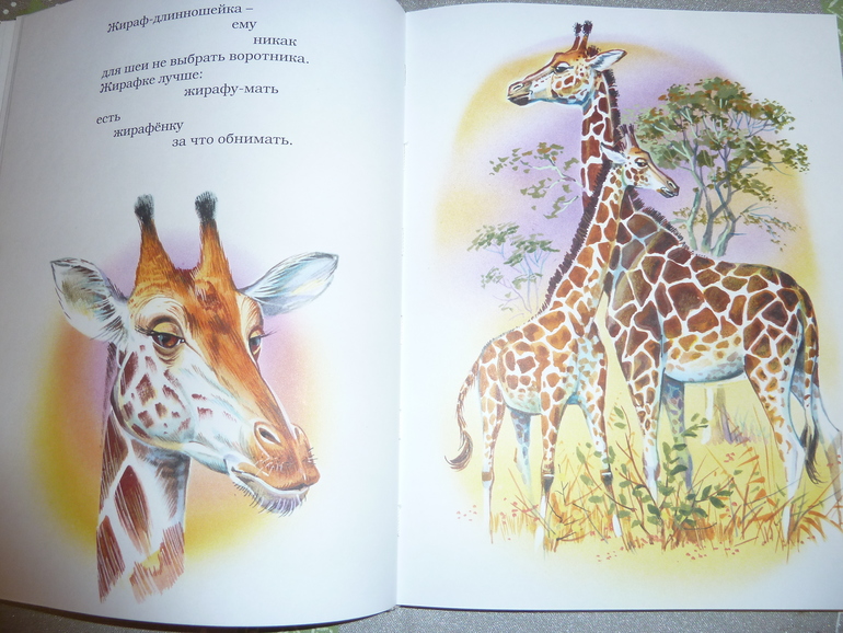 Ах, эти скидки, скидки, скидки...)))